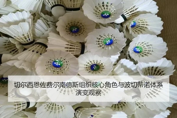 切尔西恩佐费尔南德斯组织核心角色与波切蒂诺体系演变观察